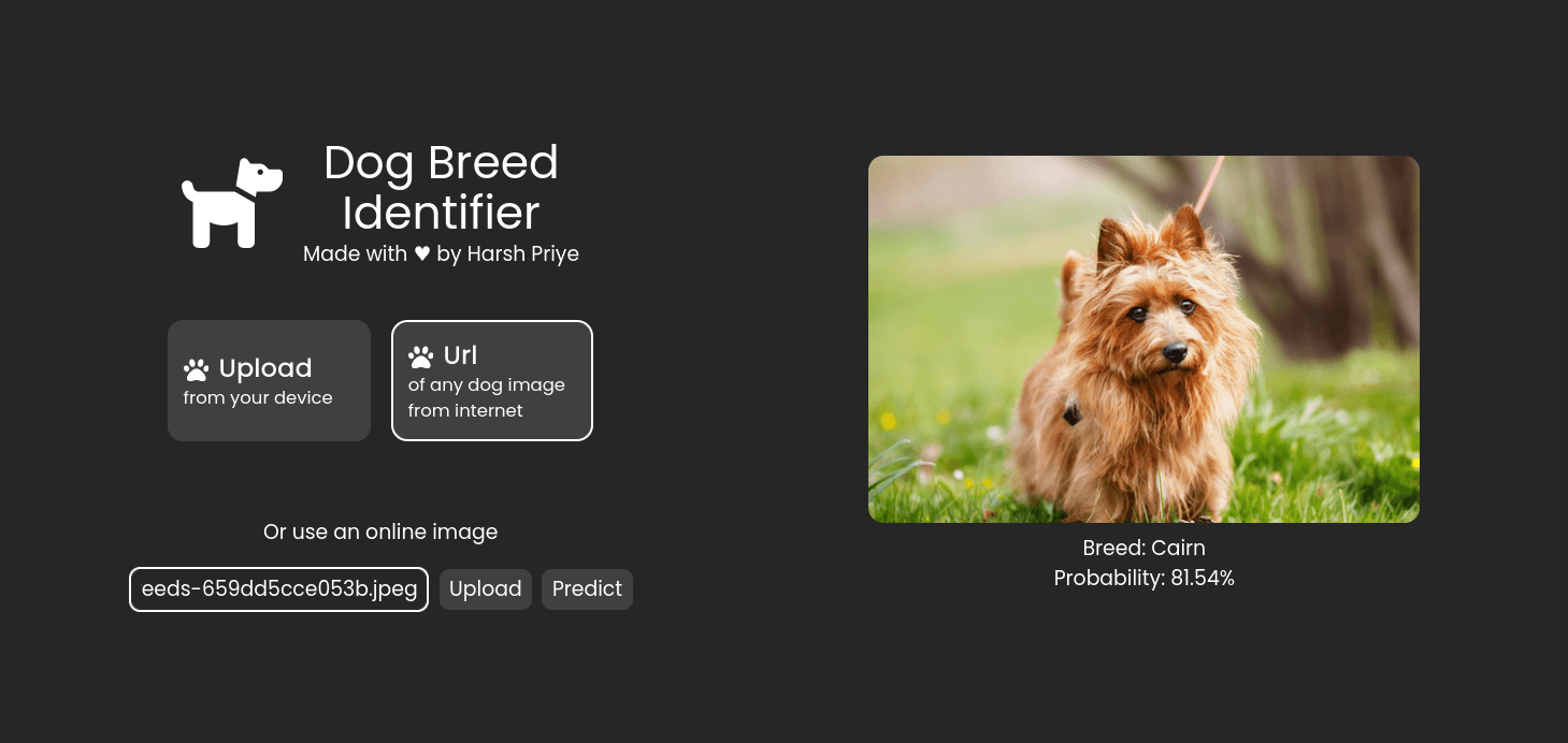 DogBreed Image